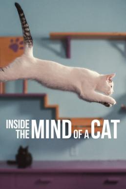 ดูหนังออนไลน์ Inside the Mind of a Cat (2022) NETFLIX