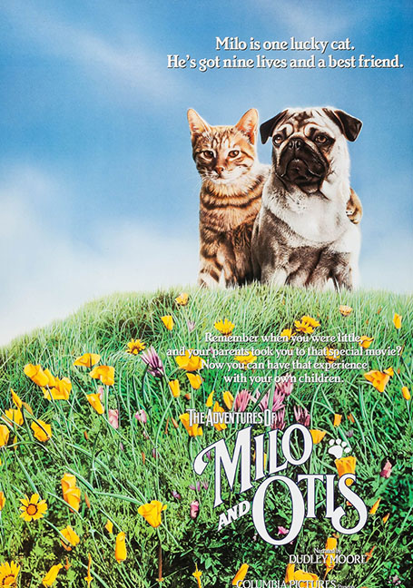 ดูหนังออนไลน์ฟรี The Adventures of Milo and Otis (1986) แมวจ๋าหมาอยู่นี่