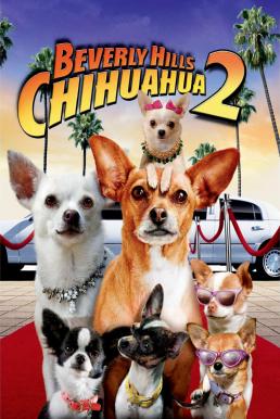 ดูหนังออนไลน์ Beverly Hills Chihuahua 2 (2011) คุณหมาไฮโซ โกบ้านนอก 2