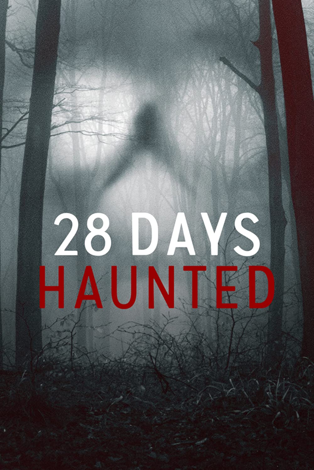 ดูหนังออนไลน์ฟรี 28 Days Haunted (2022)