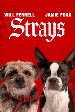 ดูหนังออนไลน์ Strays ชีวิตหมาต้องไม่หมา (2023) บรรยายไทย