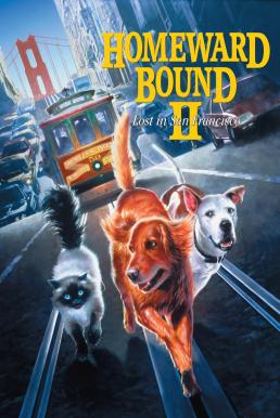 ดูหนังออนไลน์ฟรี Homeward Bound II Lost in San Francisco (1996) 2 หมา 1 แมว หายไปในซานฟรานซิสโก