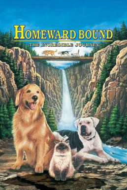 ดูหนังออนไลน์ Homeward Bound The Incredible Journey (1993) สองหมาหนึ่งแมว ใครจะพรากเราไม่ได้
