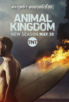 ดูหนังออนไลน์ Animal Kingdom Season 2
