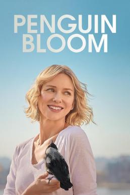 ดูหนังออนไลน์ Penguin Bloom (2020) เพนกวิน บลูม