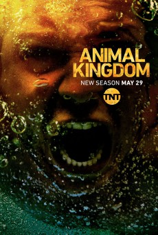 ดูหนังออนไลน์ฟรี Animal Kingdom Season 3