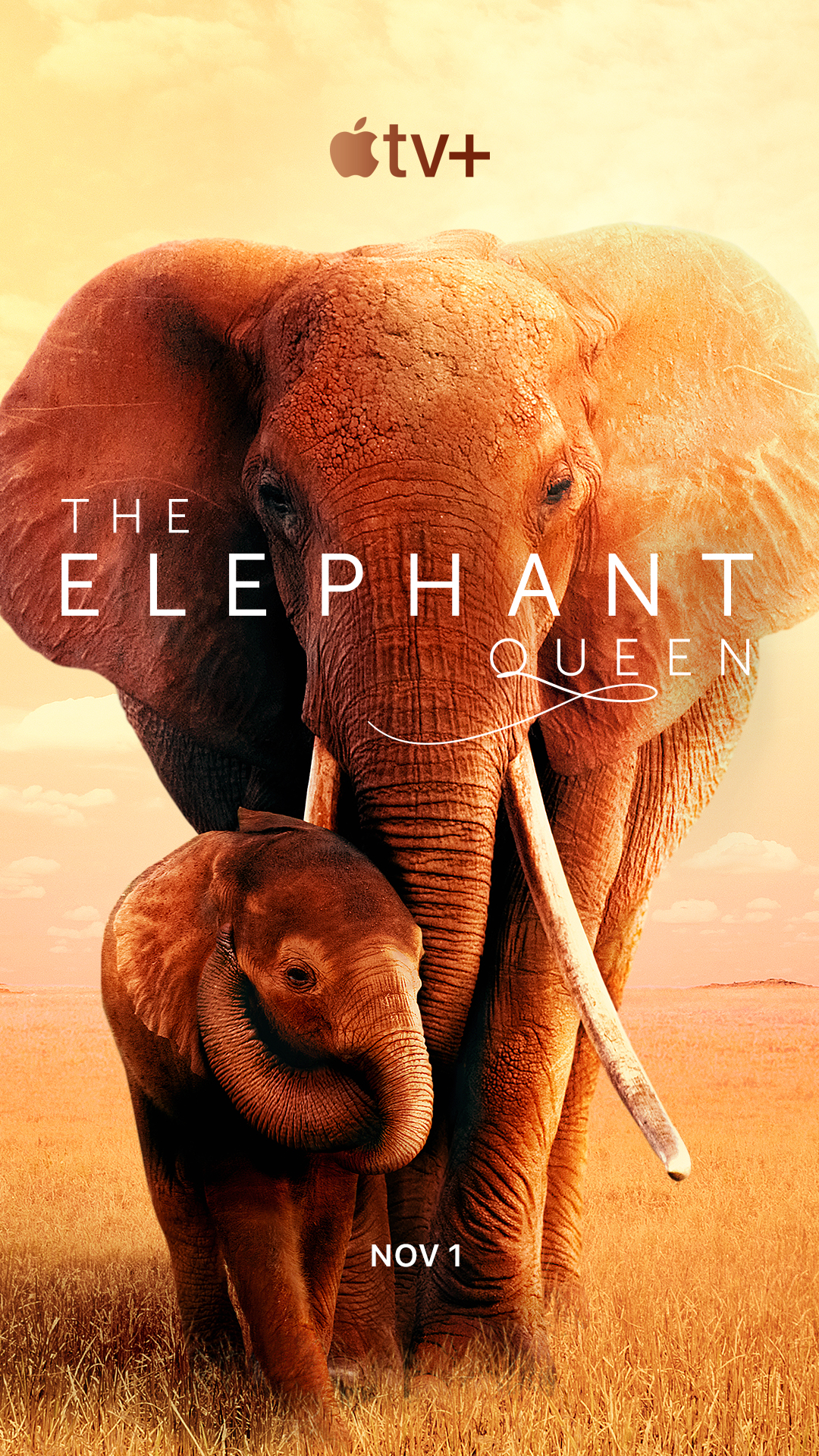ดูหนังออนไลน์ฟรี The Elephant Queen (2019) อัศจรรย์ราชินีแห่งช้าง