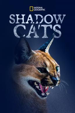 ดูหนังออนไลน์ฟรี Shadow Cats (2022) บรรยายไทย