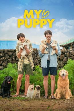 ดูหนังออนไลน์ฟรี My Puppy (My Heart Puppy) (2023) บรรยายไทย