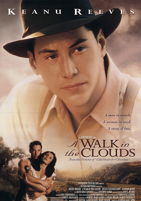 ดูหนังออนไลน์ฟรี A Walk in the Clouds (1995) จะขอบูชาหัวใจเธอไว้ที่วิมานเมฆ