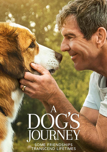 ดูหนังออนไลน์ A Dogs Journey (2019) หมา เป้าหมาย และเด็กชายของผม