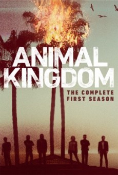 ดูหนังออนไลน์ฟรี Animal Kingdom Season 1