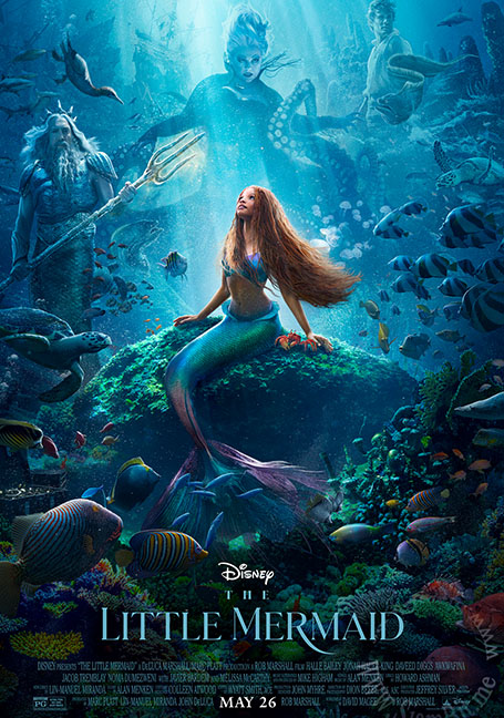 ดูหนังออนไลน์ฟรี The Little Mermaid (2023) เงือกน้อยผจญภัย | ไทยโรง