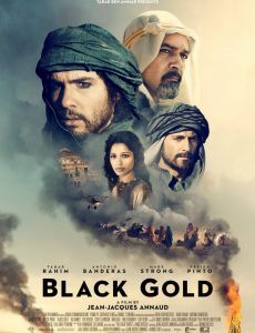 ดูหนังออนไลน์ฟรี Black Gold (2011) แบล็ค โกลด์ ล่าขุมทองดับตะวัน