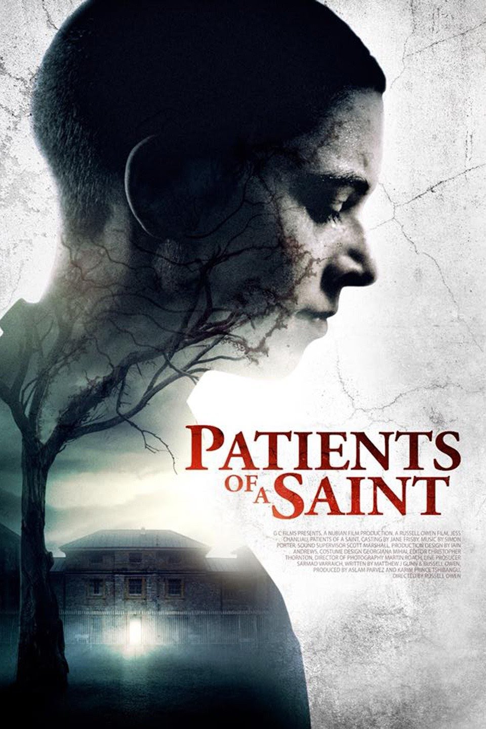ดูหนังออนไลน์ฟรี Patients of a Saint (Inmate Zero) (2020)